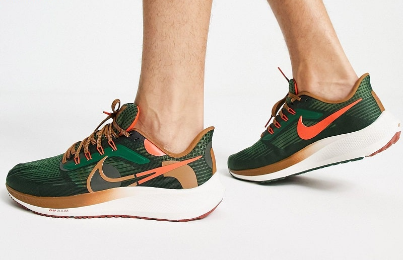Giày Nike Air Zoom Pegasus 39 'A.I.R. Hola Lou' DO9500-300 - Ảnh 3