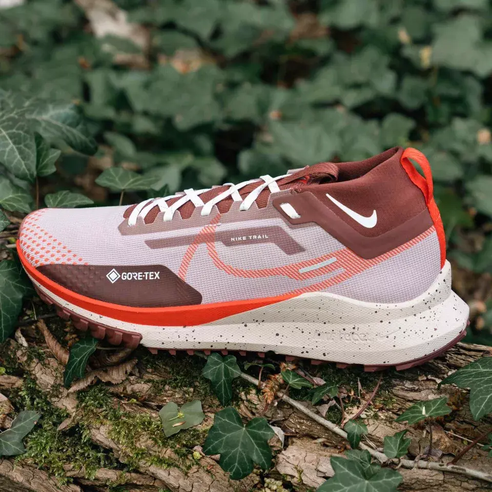 Alternative view of Giày Nike Pegasus Trail 4 Gore-tex 'Diffused Taupe' DJ7926-200