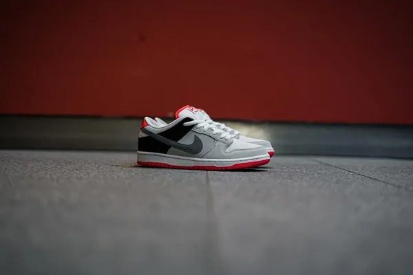 Giày Nike Dunk Low SB 'AM90 Infrared' CD2563-004 - Ảnh 6