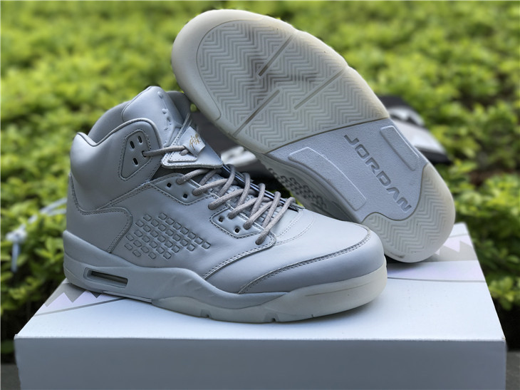 Giày Nike Air Jordan 5 Retro Premium 'Pure Platinum' 881432-003 - Ảnh 2