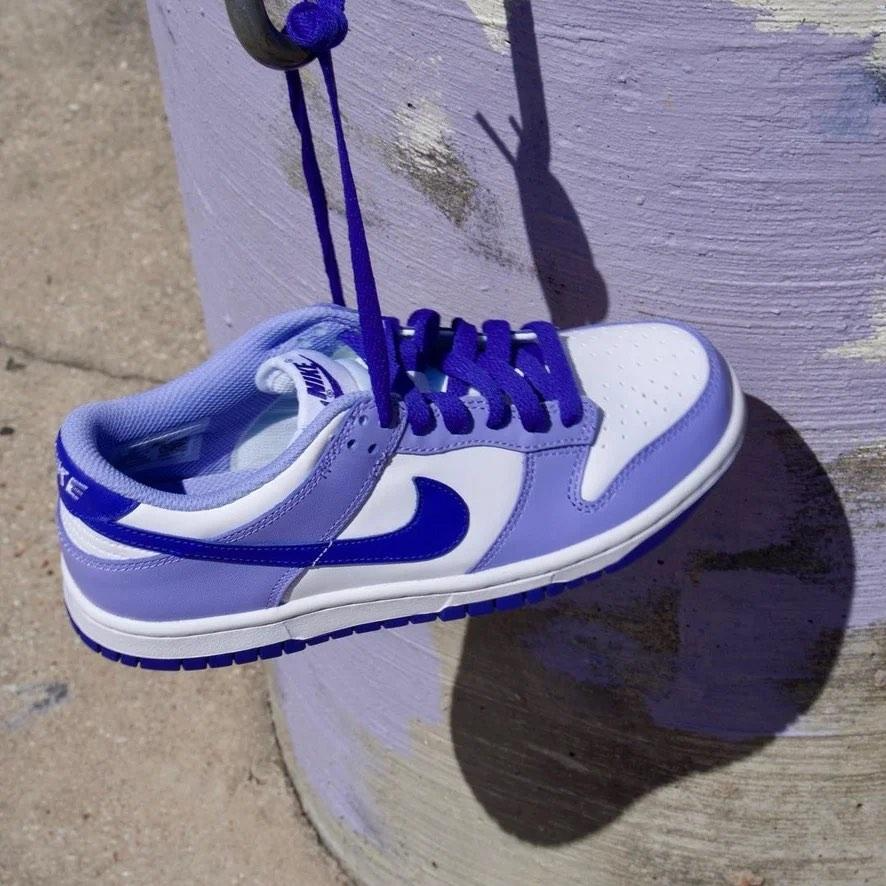 Giày Nike Dunk Low Blueberry (GS) 'Light Thistle' DZ4456-100 - Ảnh 3