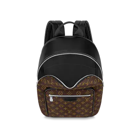 Balo Louis Vuitton Josh Monogram Macassar M45349 - Ảnh 3