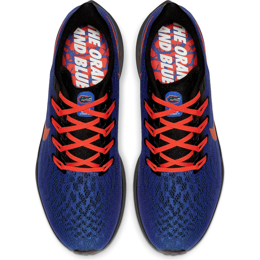 Giày Nike Air Zoom Pegasus 36 'Florida Gators' CI2066-400 - Ảnh 2