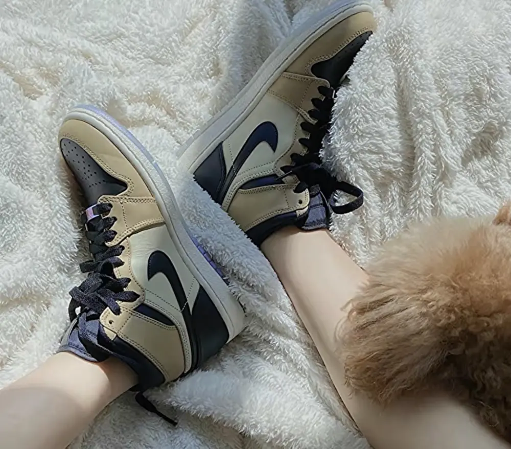 Giày Nike Air Jordan 1 High 'Mushroom' AH7389-003 - Ảnh 3