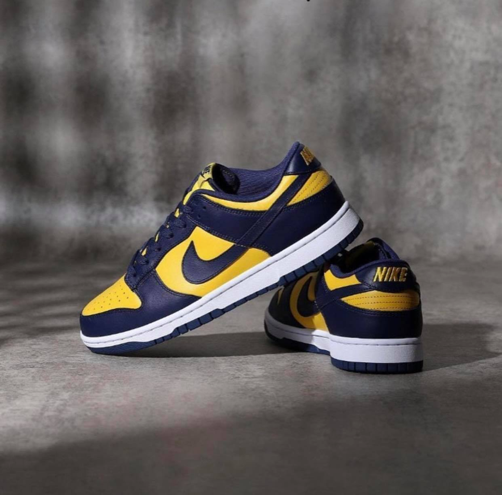 Giày Nike Dunk Low Michigan 2021 DD1391-700 - Ảnh 4