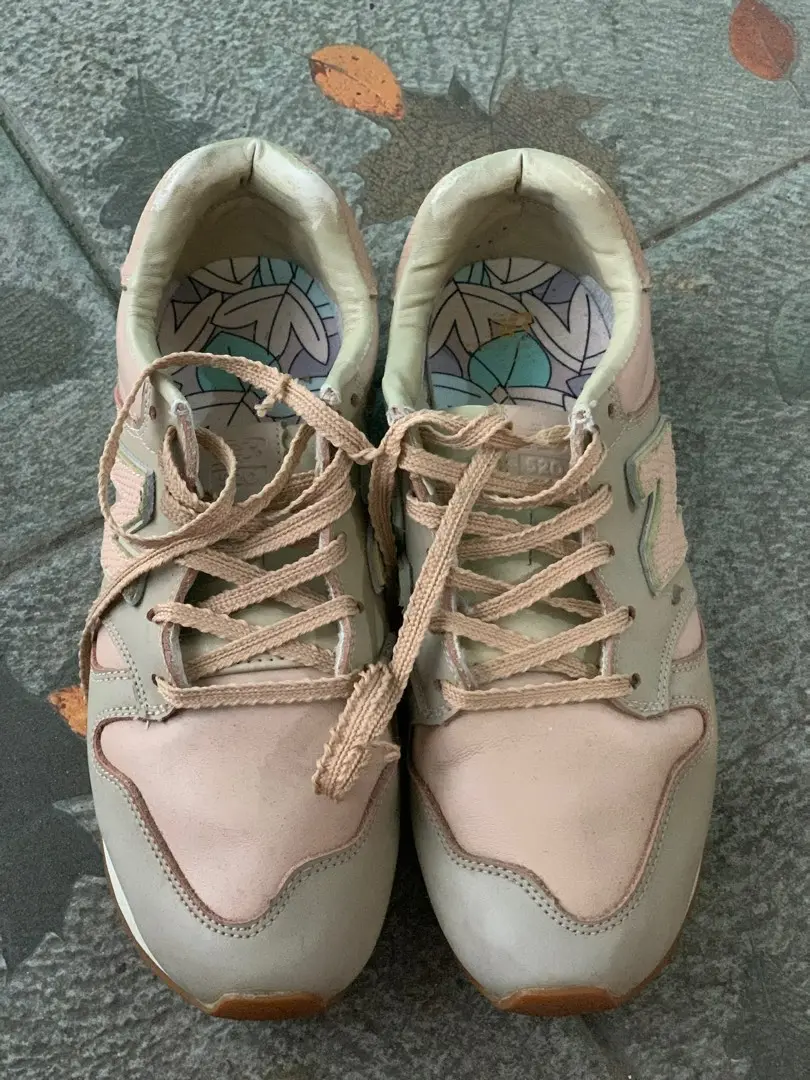 Giày New Balance x THE BEAST 520 Series Low-Top Pink WL520BT - Ảnh 3