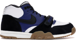 Giày Nike SB Air 1 Polar Skate Co CI6892-001