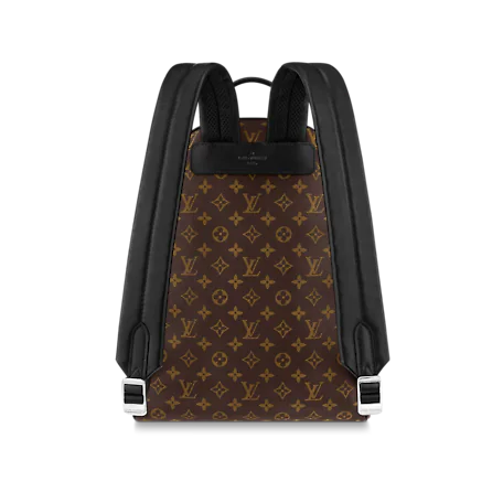 Balo Louis Vuitton Josh Monogram Macassar M45349 - Ảnh 2