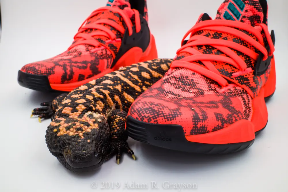 Alternative view of Giày Adidas Harden Vol. 4 'Gila Monster' EF9944