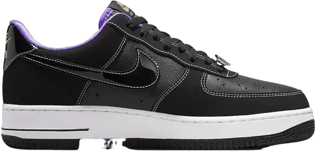 Giày Nike Air Force 1 '07 LV8 EMB World Champions 'Black Iron Grey' DR9866-001