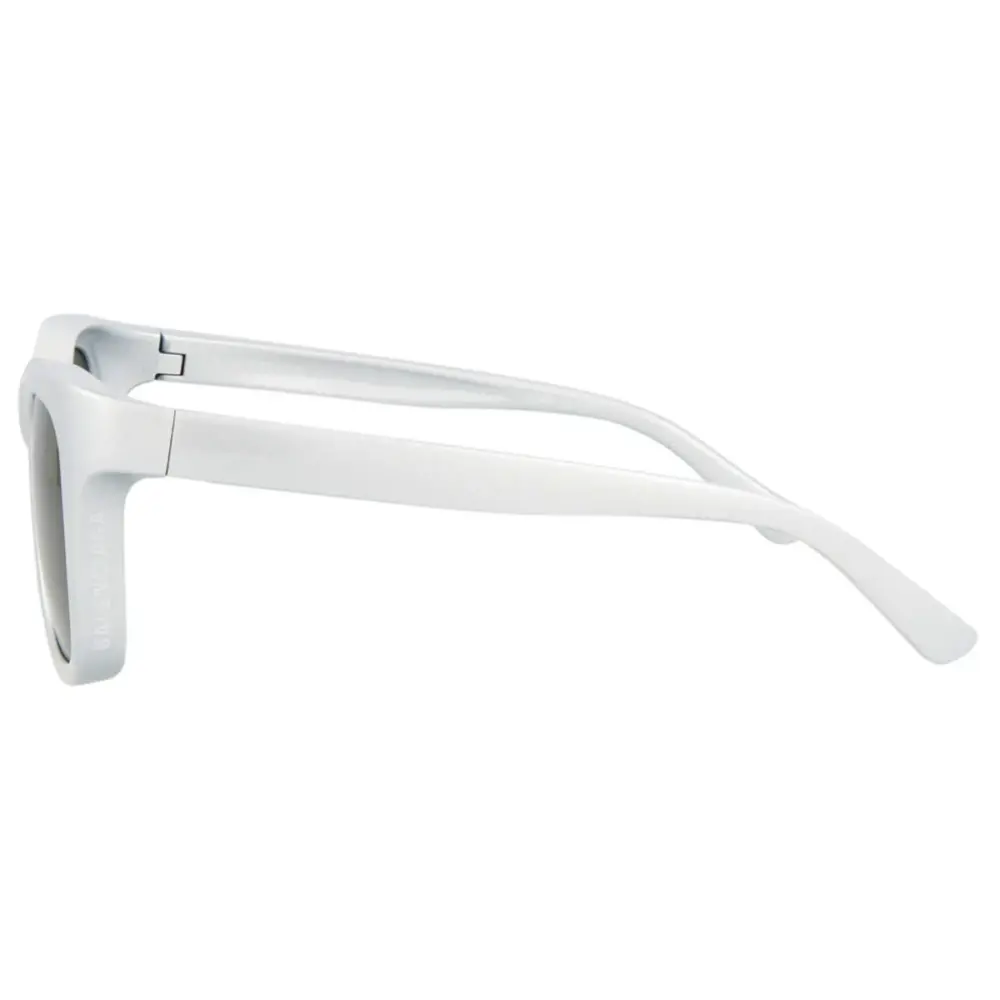 Kính Balenciaga Round Frame Bio Injection Rilsan Sunglasses 'Silver' BB0150S-003 - Ảnh 5