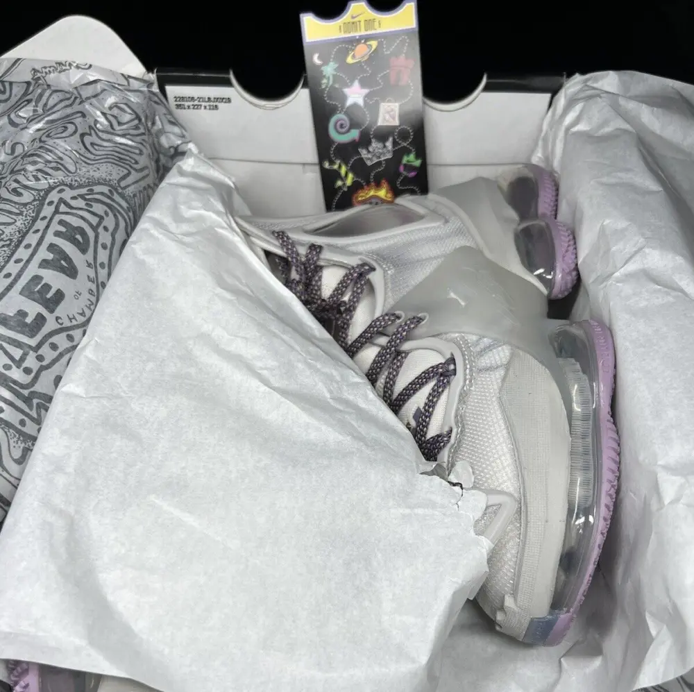 Giày Nike Lebron 19 'Strive For Greatness' DC9340-004 - Ảnh 4