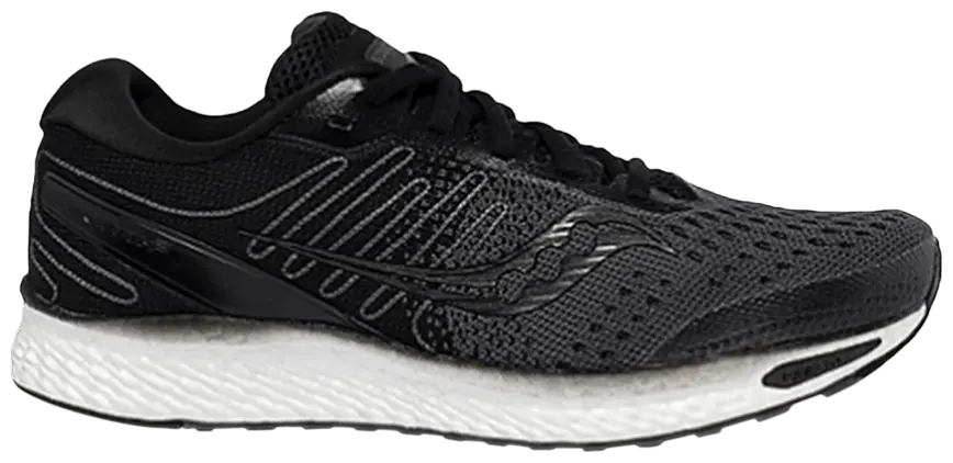 Giày Saucony Wmns Freedom 3 'Black White' S10543-40
