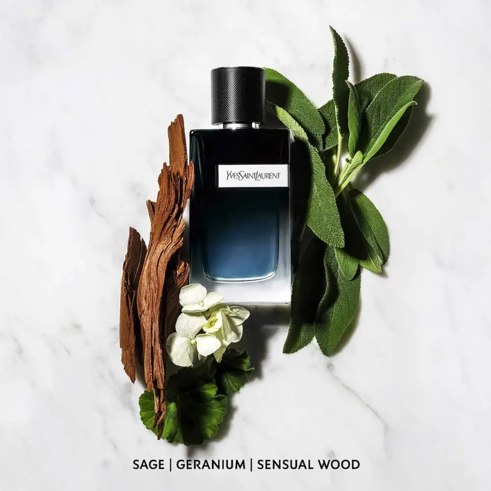 Nước Hoa Saint Laurent Y EDP - Ảnh 3
