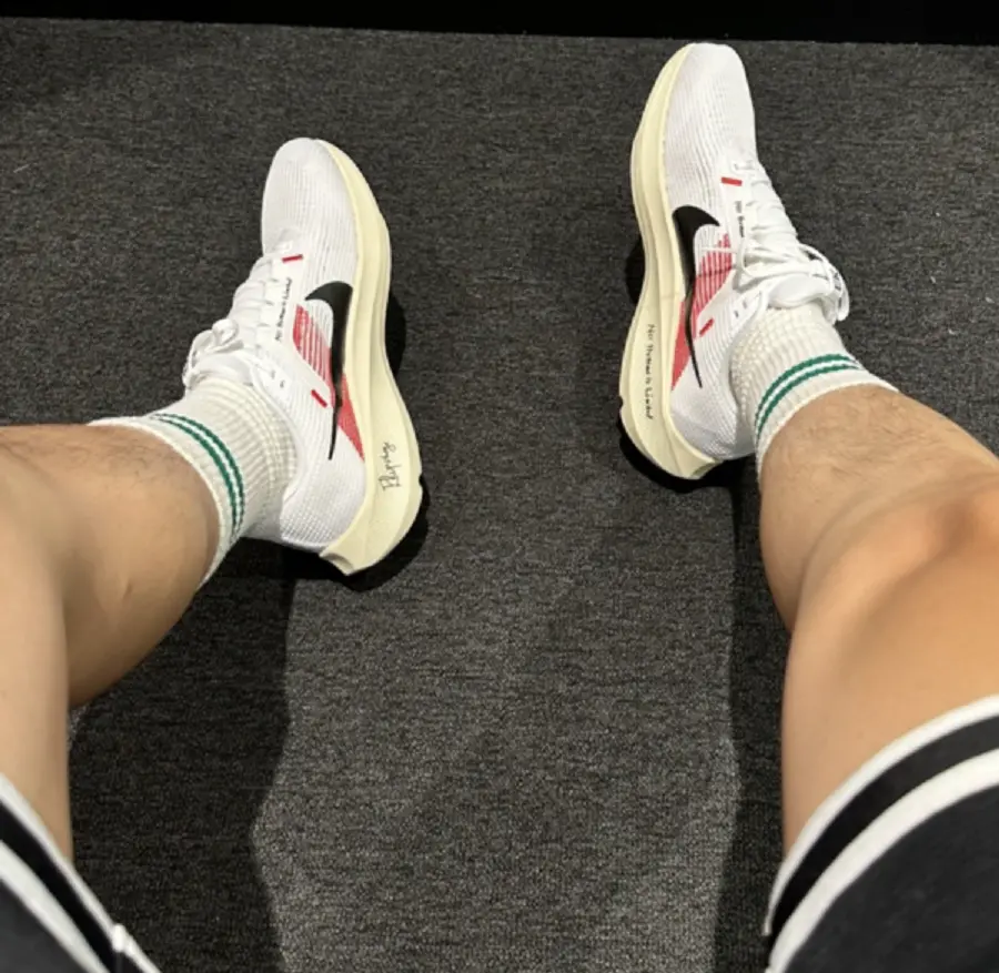 Giày Nike Air Zoom Pegasus 40 ‘Eliud Kipchoge’ FJ0686-100 - Ảnh 3