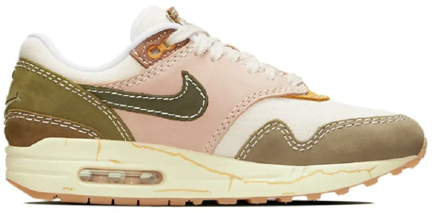 Giày Nike Air Max 1 Premium 'Wabi Sabi' DQ8656-133