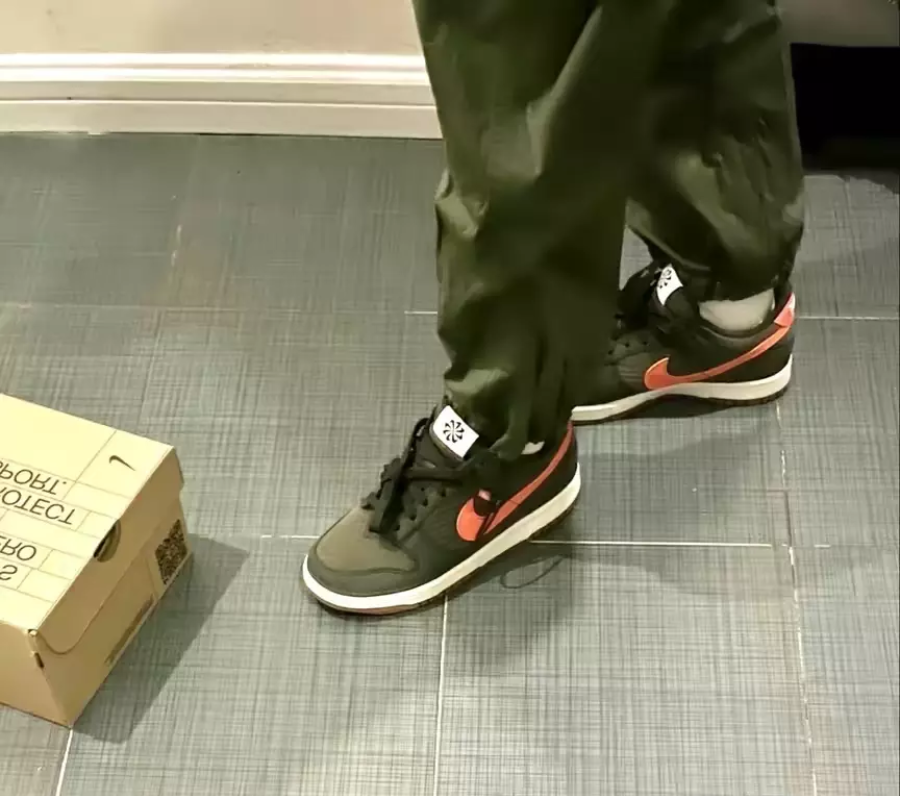 Giày Nike Dunk Low GS 'Toasty Sequoia' DC9561-300 - Ảnh 6