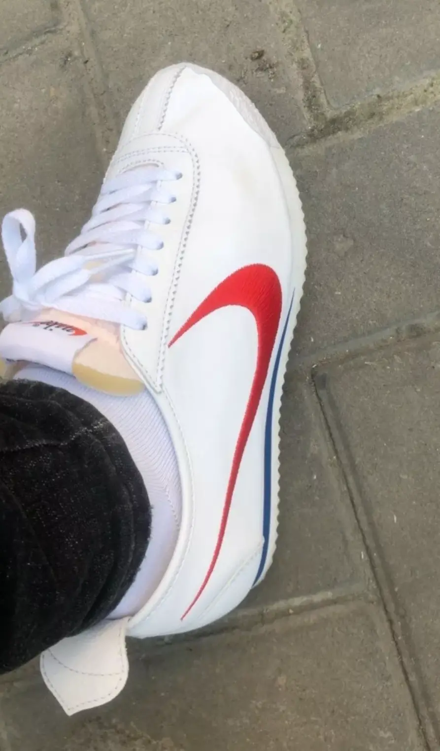 Giày Nike Classic Cortez '72 QS 'Shoe Dog Pack - Swoosh' CJ2586-100 - Ảnh 3