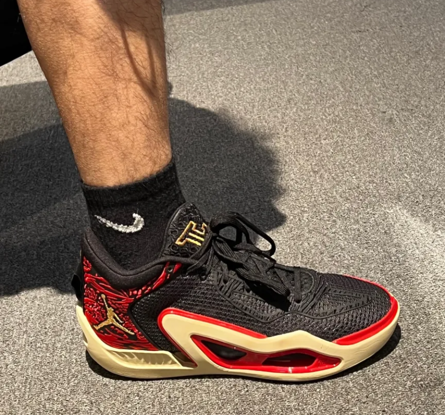 Giày Nike Jordan Brand Tatum 1 Pf 'Zoo' DX6734-001 - Ảnh 3