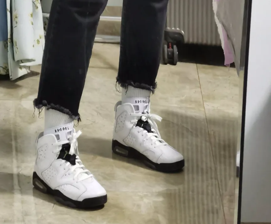 Giày Nike Air Jordan 6 Retro BG 'Alligator' 384665-110 - Ảnh 6