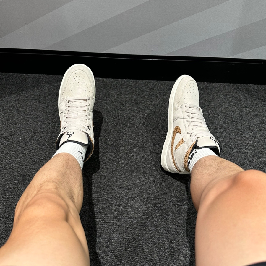 Giày Nike Air Jordan 1 Mid SE ‘Brown Elephant’ DZ4129-102 - Ảnh 6