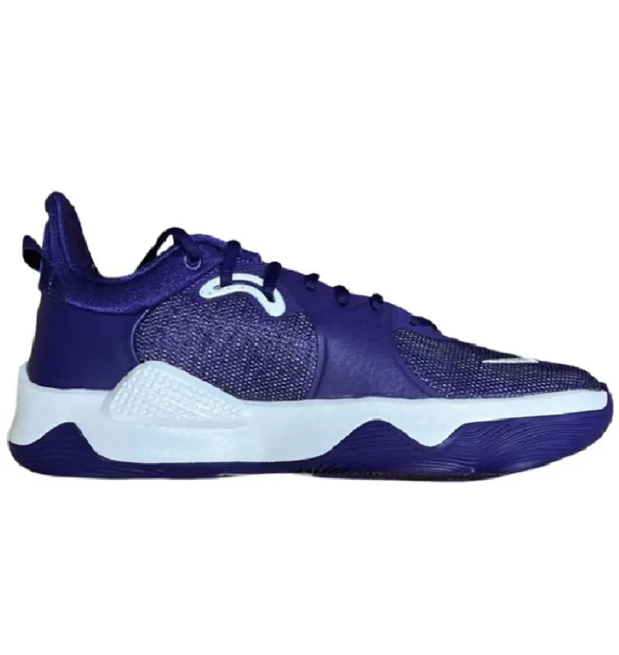 Giày Nike PG 5 TB Promo Court 'Purple' DM5045-502