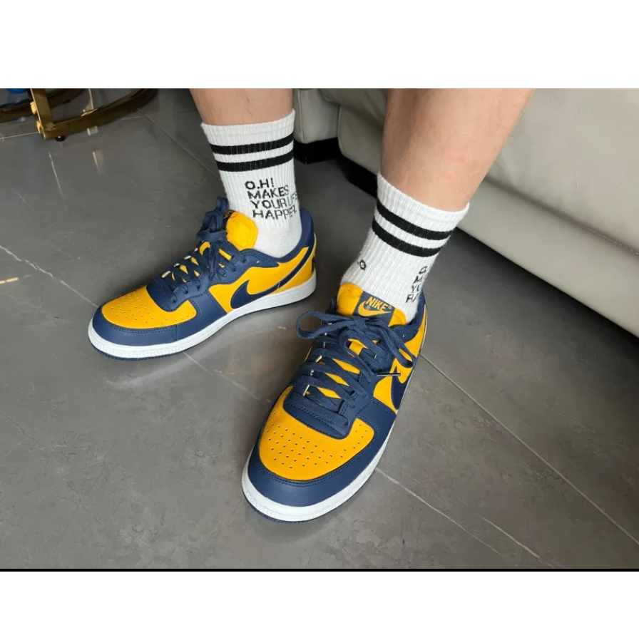 Giày Nike Terminator Low 'University Gold and Navy' FJ4206-700 - Ảnh 4