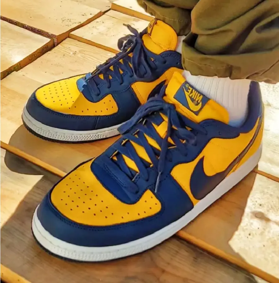 Alternative view of Giày Nike Terminator Low 'University Gold and Navy' FJ4206-700