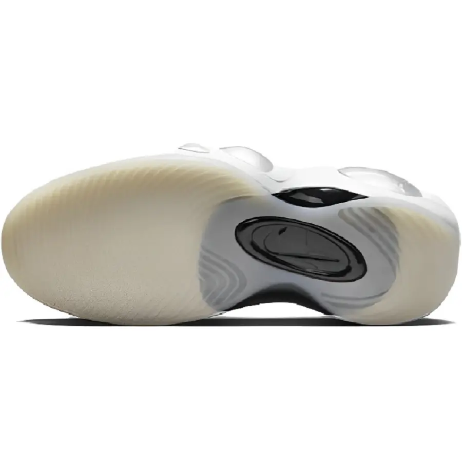 Giày Nike Air Zoom Flight 95 'Sail and Pale Ivory' DX5505-100 - Ảnh 5