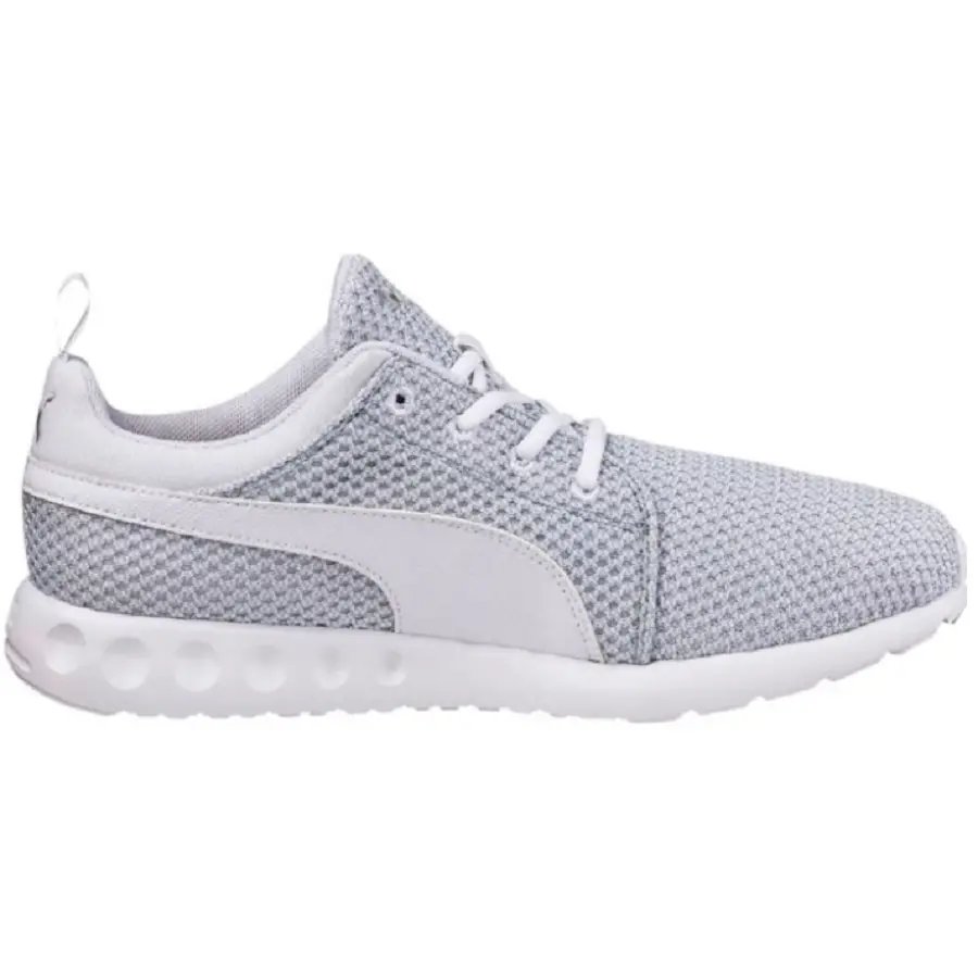 Giày Puma Carson Runner 'White Grey' 189685-03
