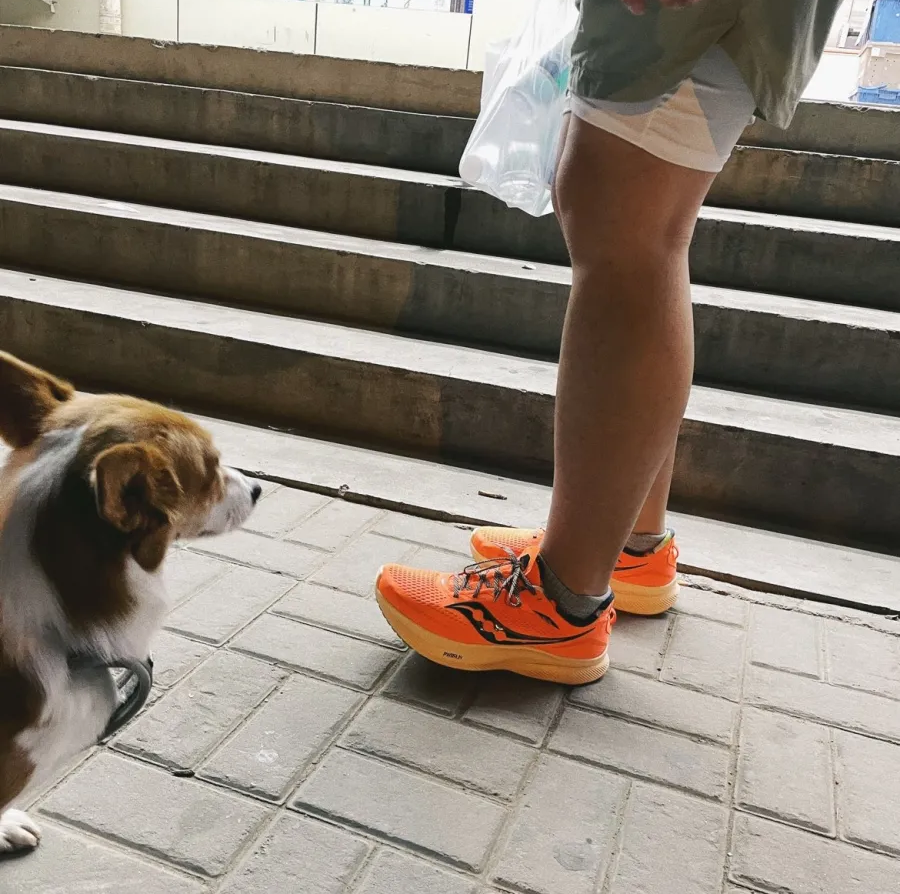 Giày Saucony Ride 15 'Campfire Story' S20729-45 - Ảnh 7