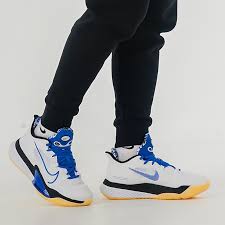 Giày Nike Air Zoom BB NXT EP 'Hyper Royal' DB9991-100 - Ảnh 2