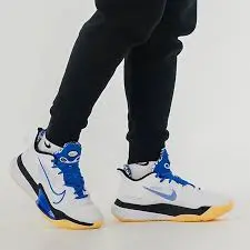 Alternative view of Giày Nike Air Zoom BB NXT EP 'Hyper Royal' DB9991-100