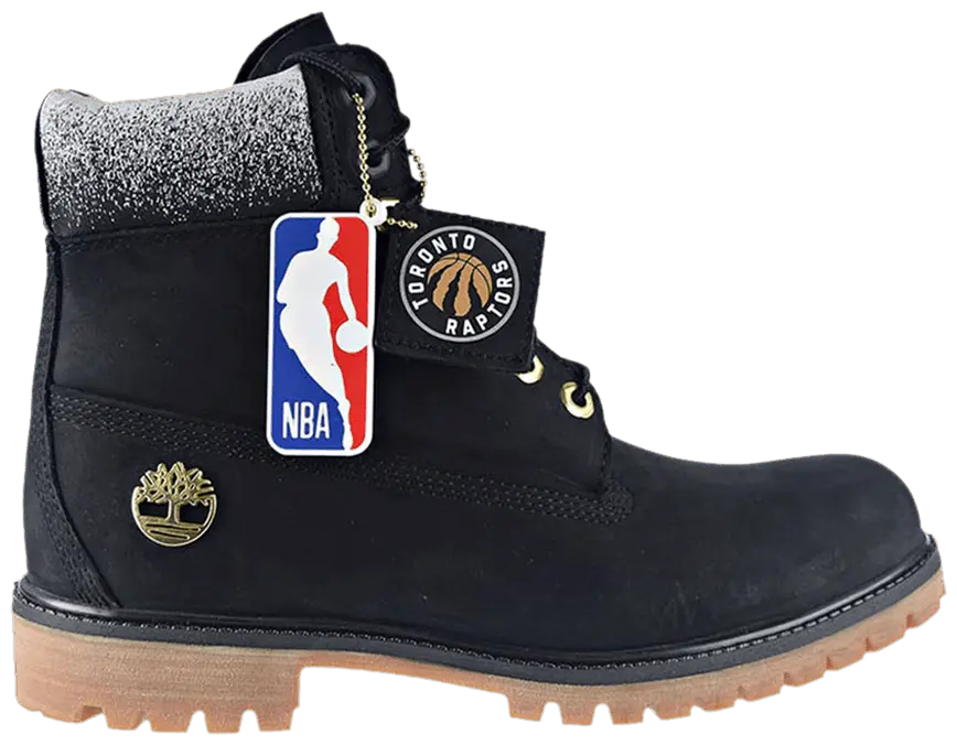 Giày Timberland NBA x 6 Inch Premium 'Toronto Raptors' TB0A2864
