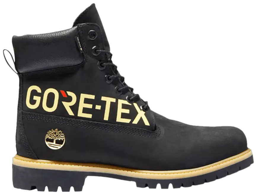 Giày Timberland 6 Inch Premium GTX 'Black' TB0A2ECJ-001