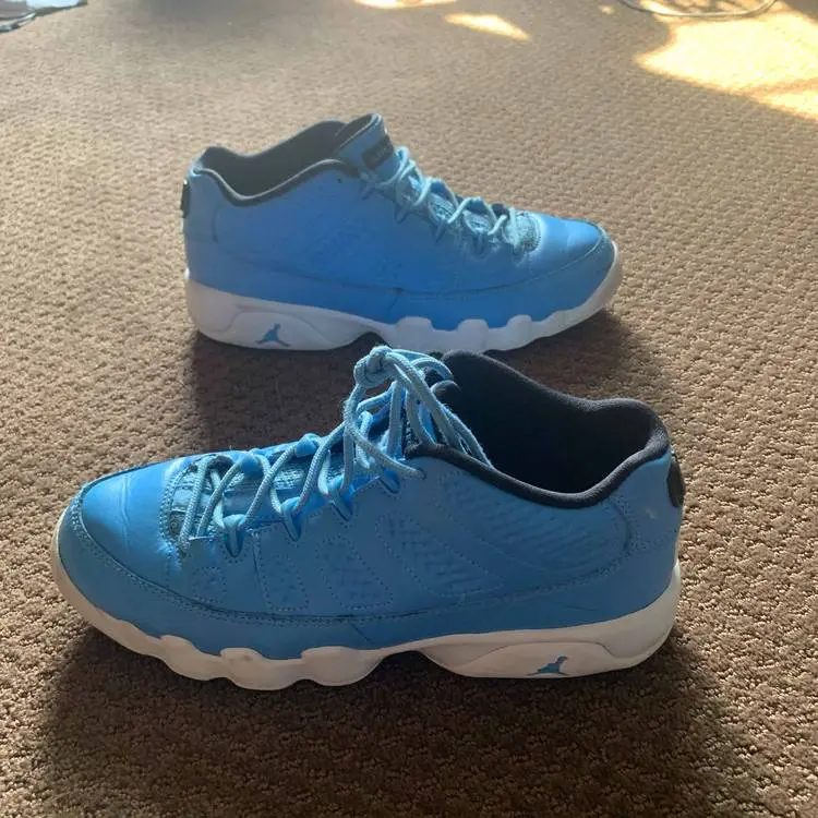 Giày Nike Air Jordan 9 Retro Low BG 'Pantone' 833447-401 - Ảnh 4