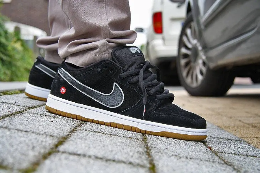 Giày Nike SB Dunk Low Premium SB 'Quartersnacks' 313170-019 - Ảnh 4