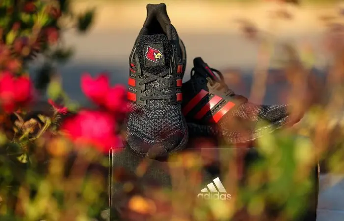 Giày Adidas UltraBoost 1.0 'NCAA Pack - Louisville' FY5801 - Ảnh 5