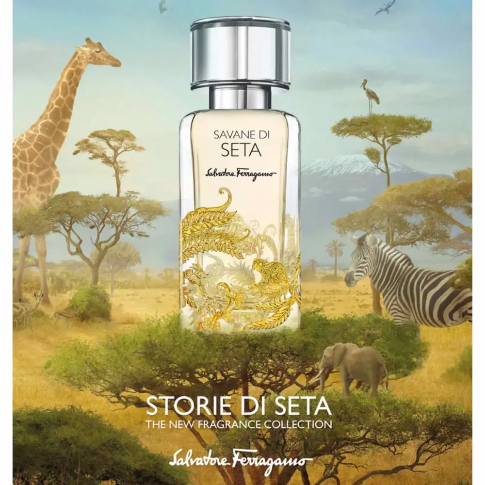 Nước Hoa Salvatore Ferragamo Savane Di Seta EDP - Ảnh 3