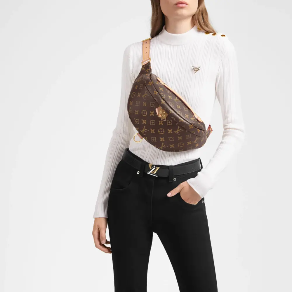 Túi Louis Vuitton Monogram Canvas Bumbag M43644 - Ảnh 4