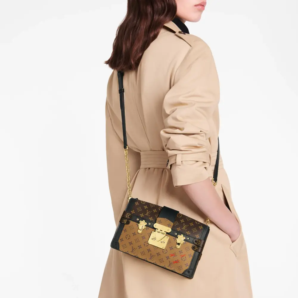 Túi Louis Vuitton Trunk Clutch Monogram Canvas Handbags M43596 - Ảnh 3