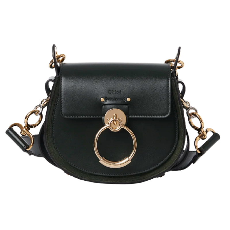 Túi Chloe Tess Small Bag in Shiny & Suede Calfskin CHC18WS153A373I2