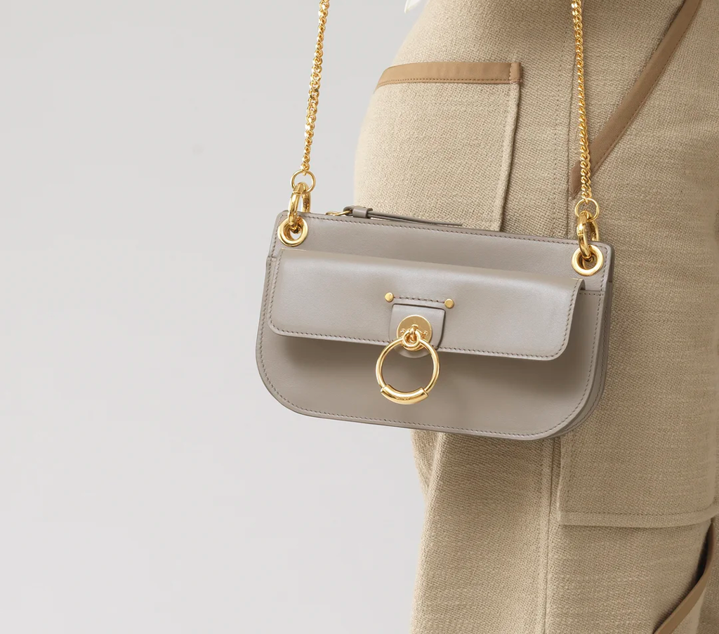 Túi Chloe Tess Small Cross-Body Pouch In Shiny 'Calfskin' CHC20AP044A3723W - Ảnh 2