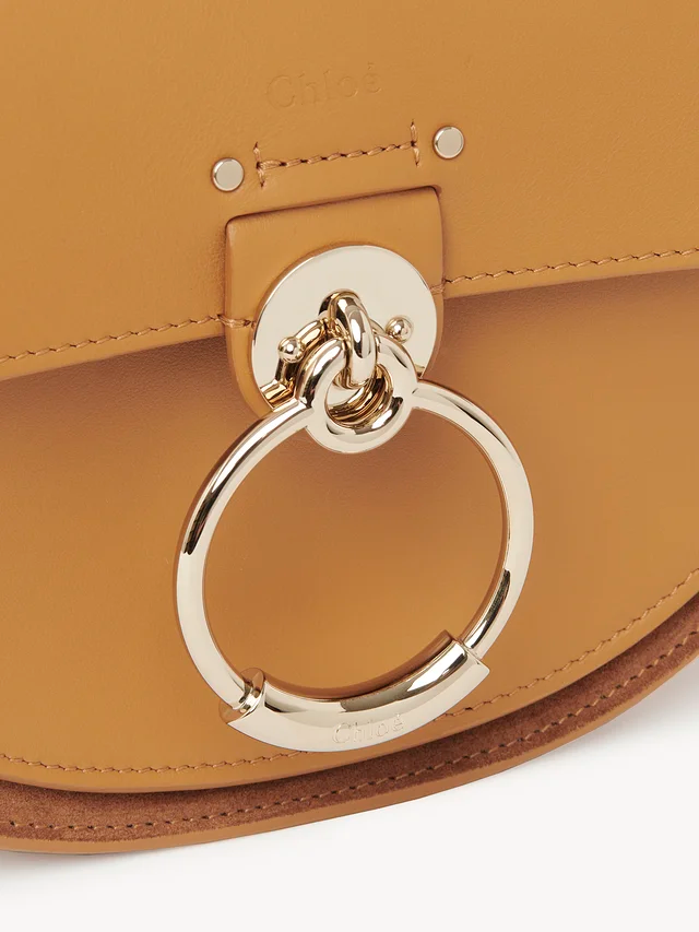 Túi Chloe Tess Small Purse In Shiny & Suede Calfskin CHC21-WS153F27-211 - Ảnh 3