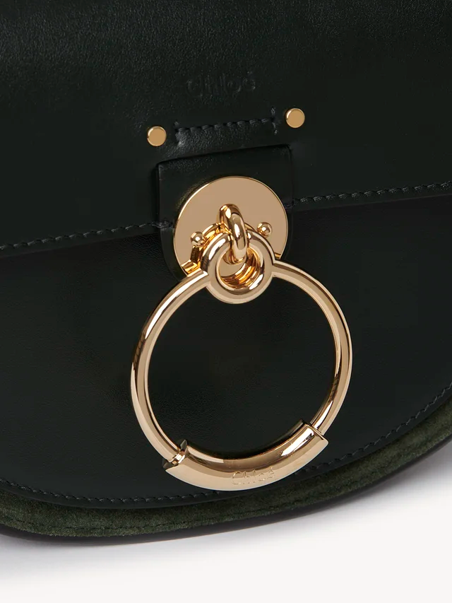 Túi Chloe Tess Small Bag in Shiny & Suede Calfskin CHC18WS153A373I2 - Ảnh 3