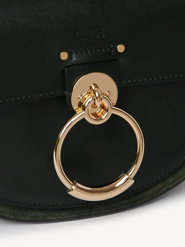 Túi Chloe Tess Small Bag in Shiny & Suede Calfskin CHC18WS153A373I2 - Ảnh 3