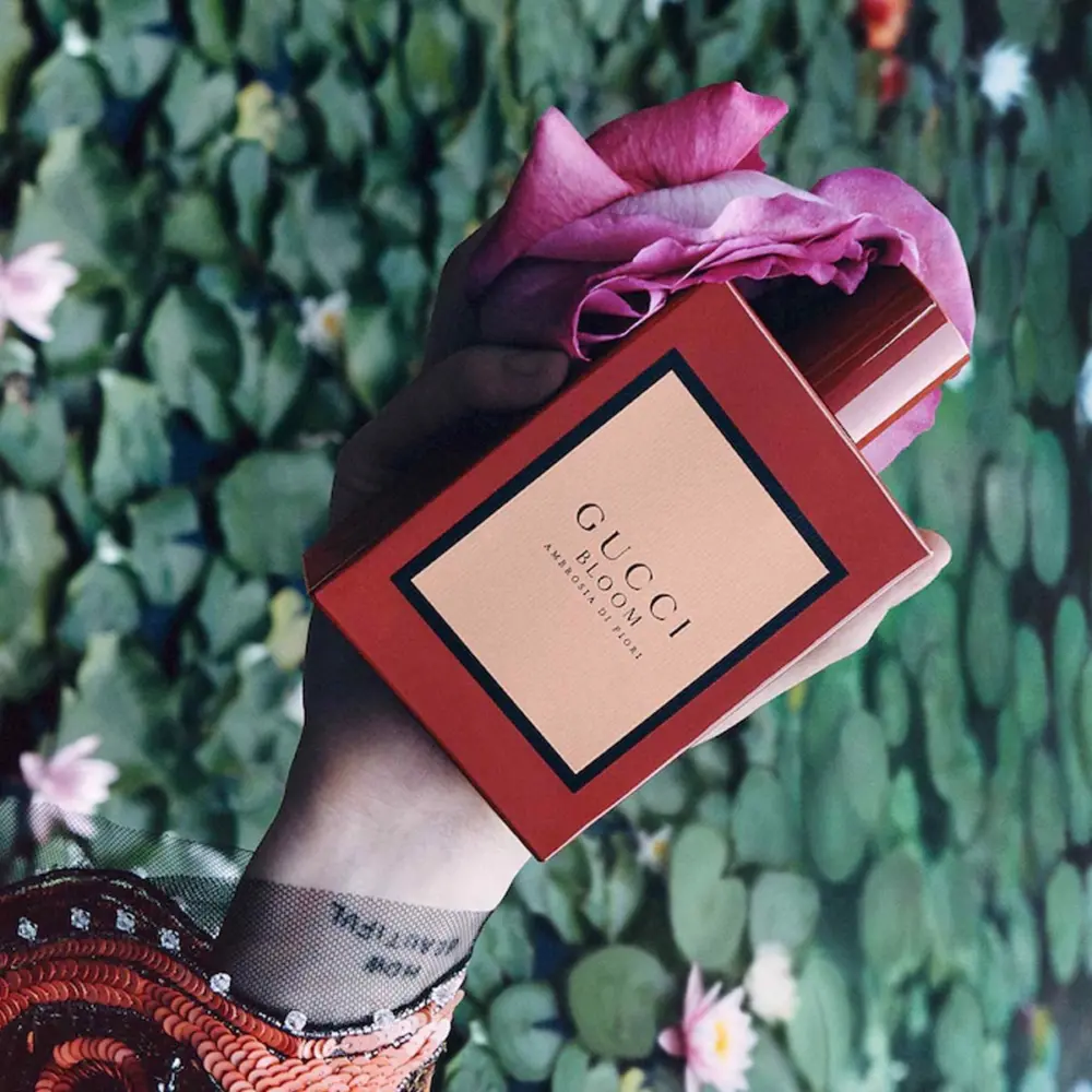 Nước Hoa Gucci Bloom Ambrosia Di Fiori EDP - Ảnh 3