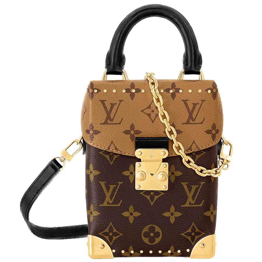 Túi Louis Vuitton Camera Box 'Brown' M82465