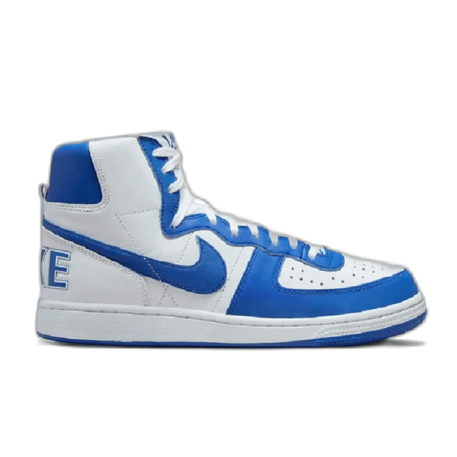 Giày Nike Terminator High Game Royal FN6836-100