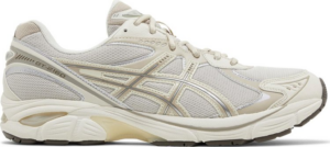 Giày Asics GT-2160 'Oatmeal Simply Taupe' 1203A320-250